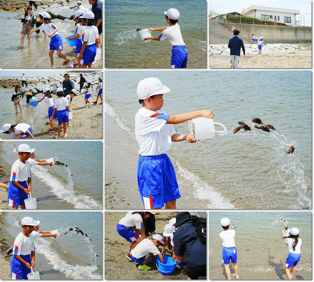 0703　キジハタ放流４