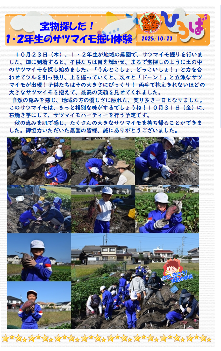 サツマイモ掘り